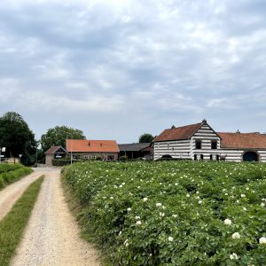 Etappe 2: van Schimmert naar Sittard