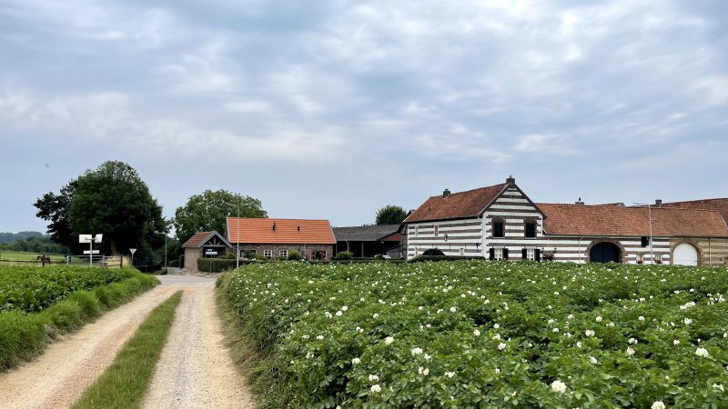 Etappe 2: van Schimmert naar Sittard