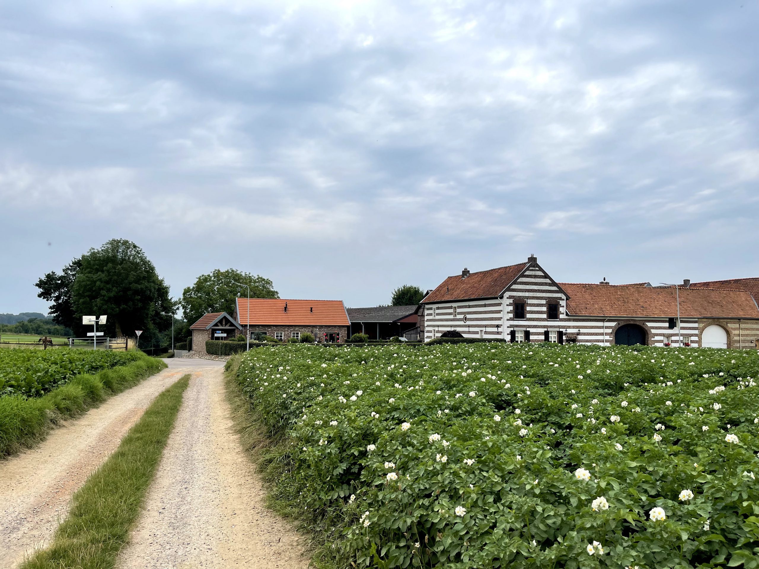 Etappe 2: van Schimmert naar Sittard