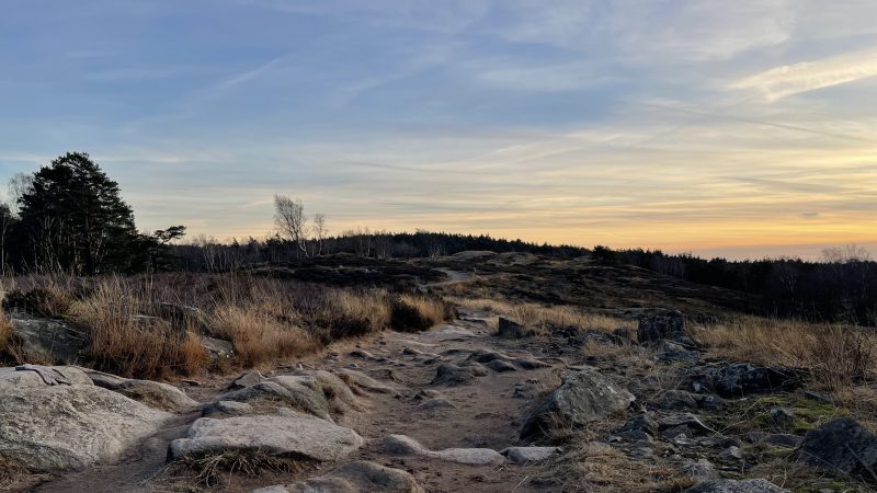 Natuurgebied Ljungheden